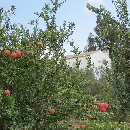 Casa Pausa בית נופש